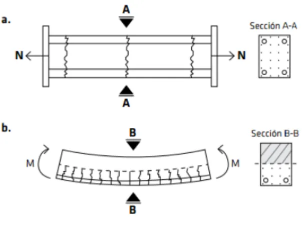 Figura 2: a. Fisuras en elemento de concreto reforzado con la carga de tensión en toda la sección