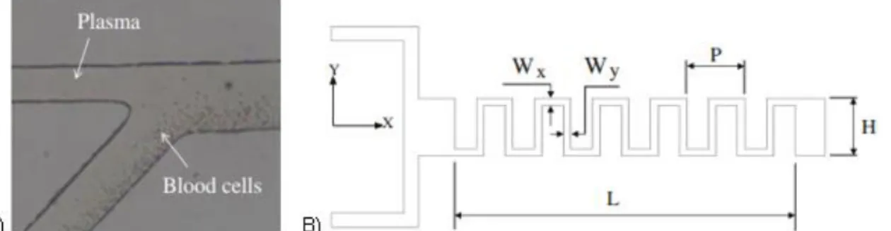 Figure 27. A) Bifurcation used to collect plasma. B) Square patterned channel of certain dimensions for plasma  mixing [57]