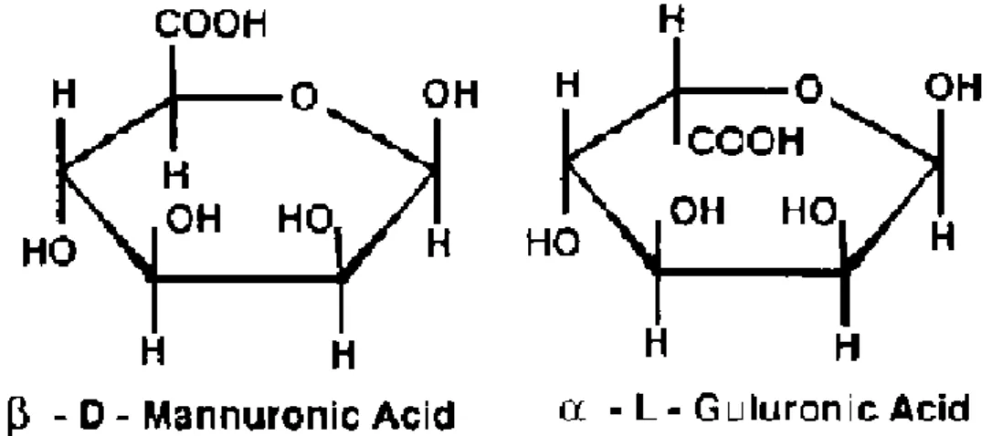 Figura 8: Estructura Química de los Alginatos 