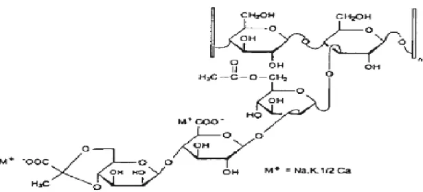 Figura 11: Estructura Química de la Goma Xantana 