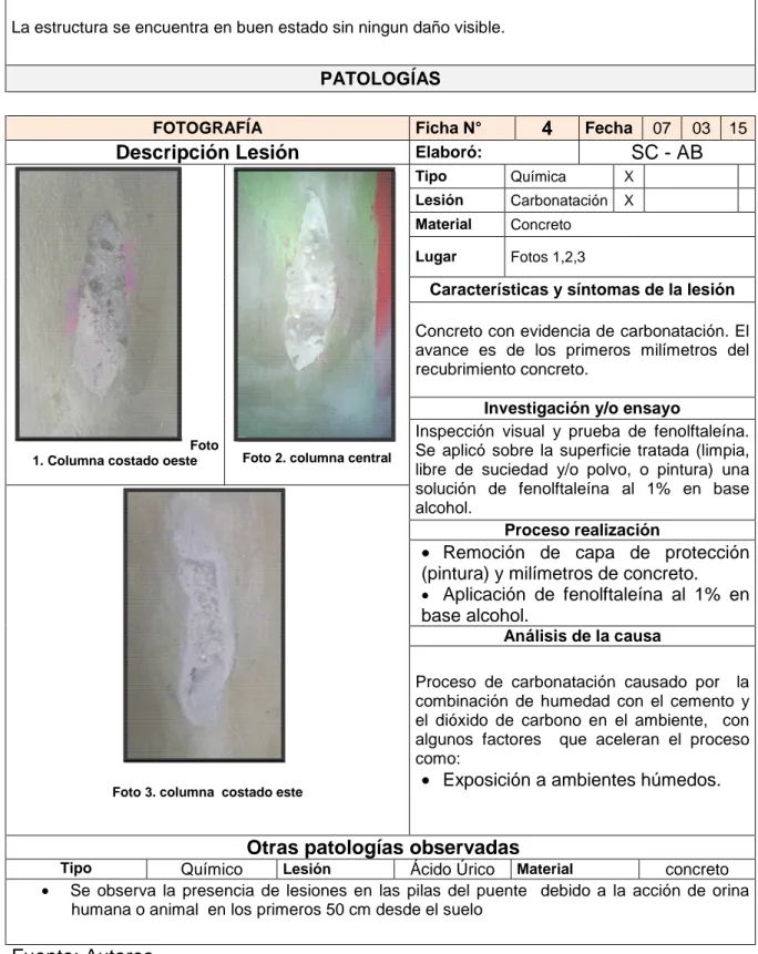 Foto 3. columna  costado este