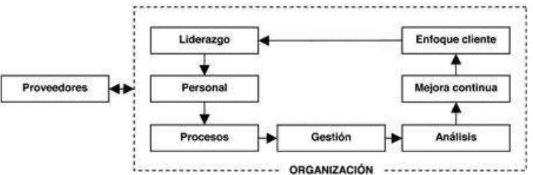 Figura 2. Los principios de gestión en el ciclo de la calidad. 