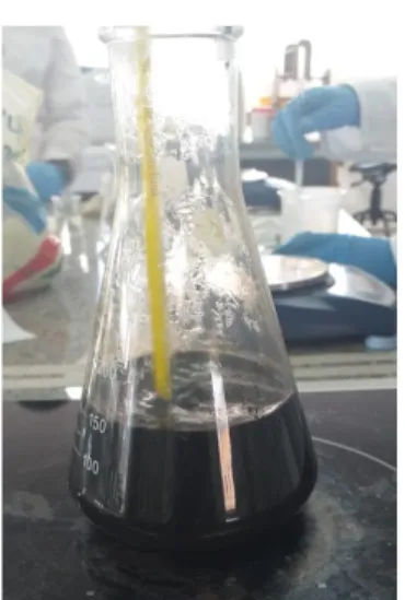 Fig. No  11, Hidróxido de sodio  Fig. No  12, Oxidación del hierro Fuente: Realizado por Autores 
