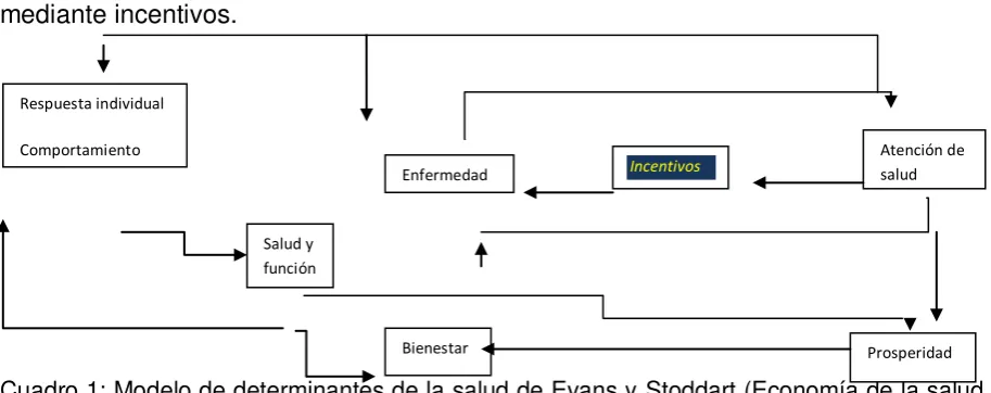 Cuadro 1: Modelo de determinantes de la salud de Evans y Stoddart (Economía de la salud basada en la evidencia) 19 