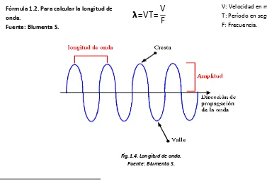 Fig.1.3. Niveles sonoros en bandas de octava de frecuencia.  Fuente: http://www.bizkaia.net 