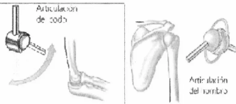 Figura  3  Articulaciones del brazo  y  su s equiva lencies  mecánicas 