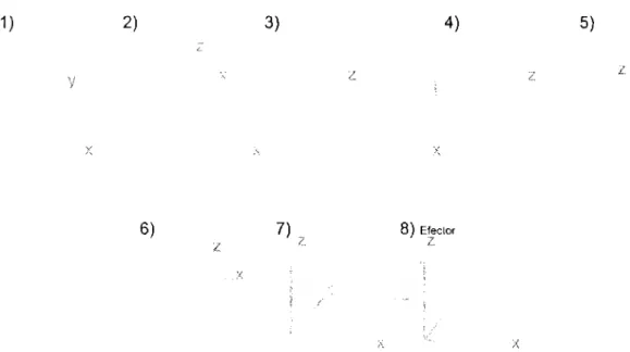 Figura  ,1  /\signación  rlc  sislcmas  dr  roonlt&gt;nadas  en  posición  cero  del  sistema  (miembro  superior  en  n•poso snhrl' d&lt;•sc;1nsa  hrazo  (lp  sill;1  dP  n1cdas)