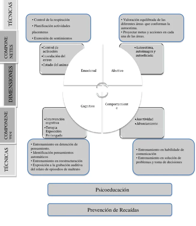 Figura 2.  Dimensiones, Componentes y técnicas del programa de tratamiento 
