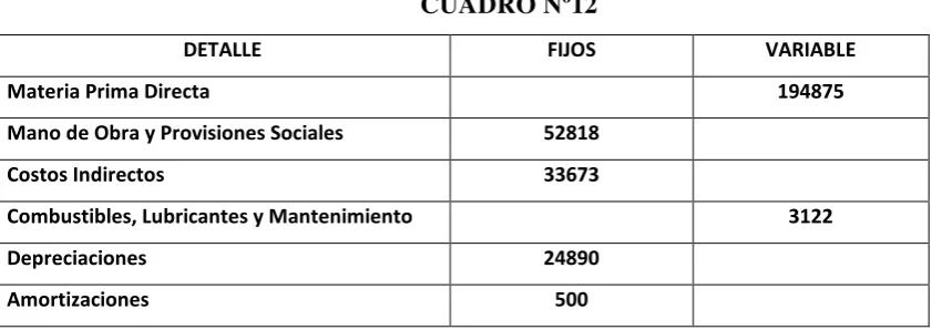 CUADRO Nº11 