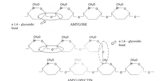 Ilustración  6.  Efecto  de  la  temperatura  y  pH  en  la  actividad  relativa  de  enzimas  amilasas  típicas 