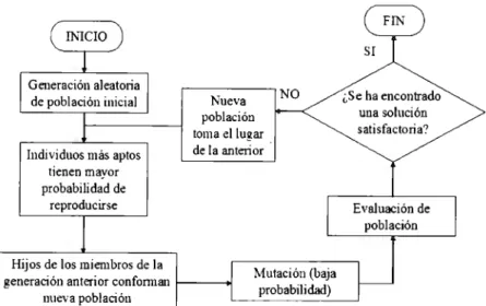 Fig.  5.  2 Bosquejo general de un  algoritmo genético 