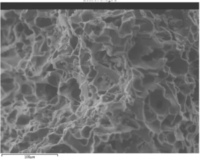 Figura 2-1. Imagen microscópica carbón activado 
