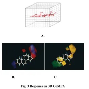 Fig. 3 Regiones en 3D CoMFA 