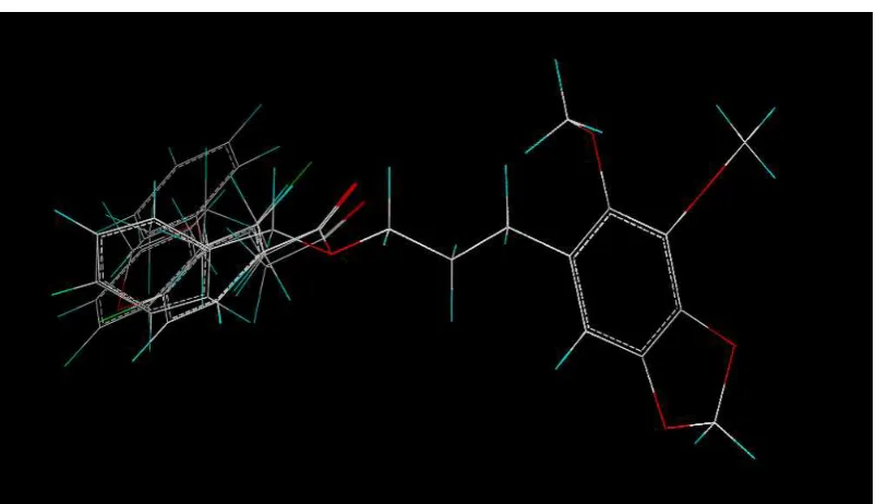 Fig.16 Plantilla para alinear la base de datos 