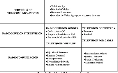 Figura 2.1 Servicios de Telecomunicaciones 20 