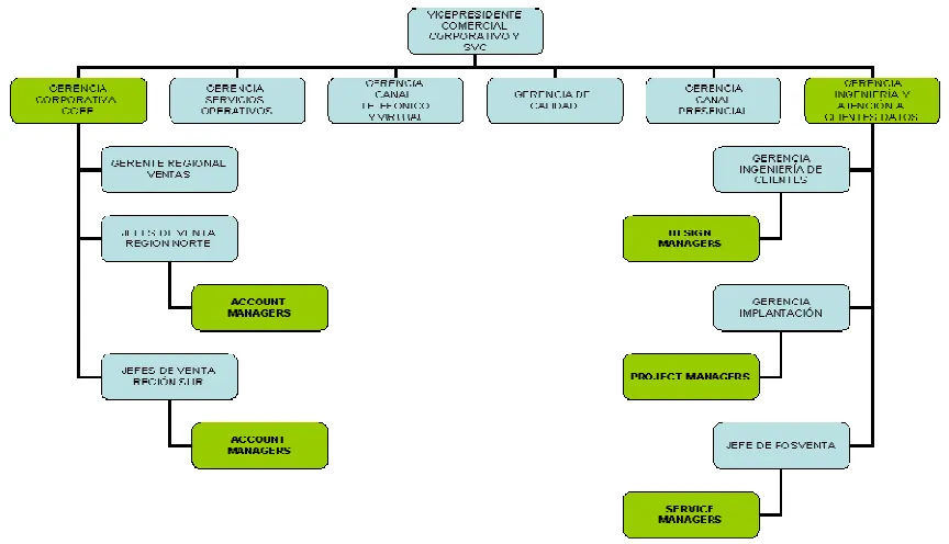 Figura 2.12  Estructura Orgánico-Funcional32