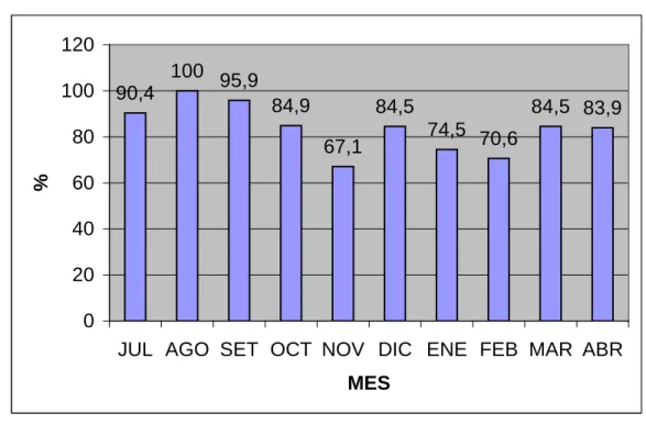 Gráfico N° 3.9 