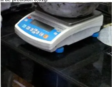 Figura 7.  Balanza de precisión 0,01g. 
