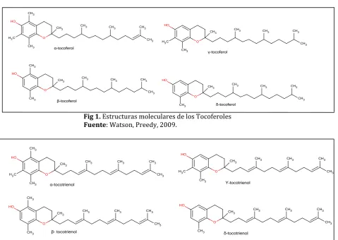 Fig 2. Estructuras moleculares de los Tocotrienoles                                                Fuente: Watson, Preedy, 2009