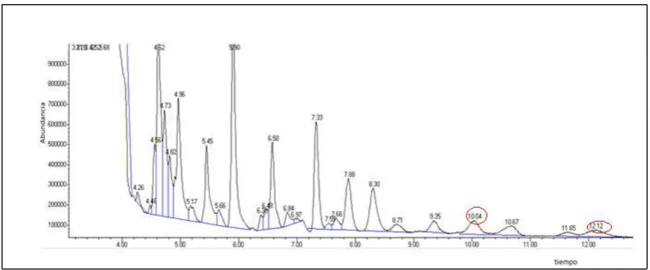 Fig 13. Fragmentos de la molécula                                                     Fuente:�- tocoferol  Mirmira, Edward, 1972