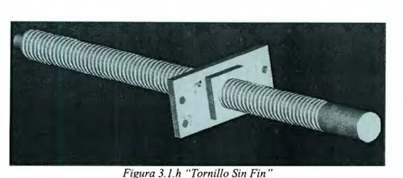 Figura 3. J.h  "Tornillo Sin Fin" 