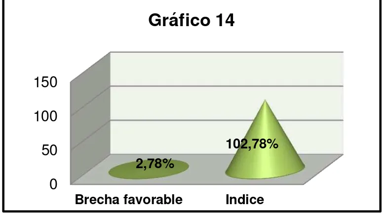 Gráfico 14 