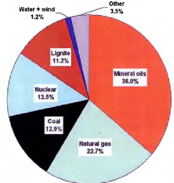 Figure 8:  Primary energy distribution,  2007 