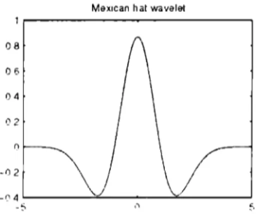 Figura  1.2.4.2 Wavelet de  Mexican  hat 
