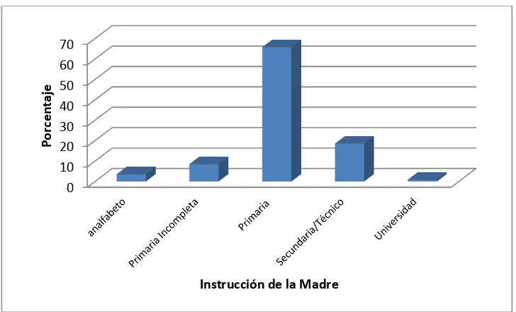 TABLA N°8 NIVEL DE INSTRUCCIÓN DE LAS MADRES DE LOS ESTUDIANTES DEL COLEGIO SANTA MARIANITA