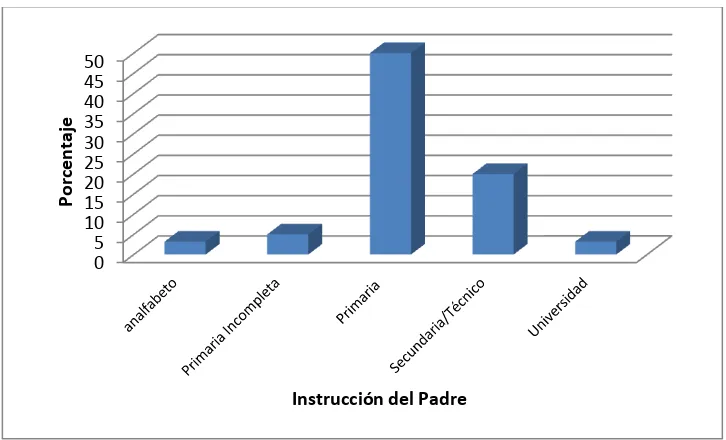 TABLA N°9 NIVEL DE INSTRUCCIÓN DE LOS PADRES DE LOS ESTUDIANTES DEL COLEGIO SANTA MARIANITA