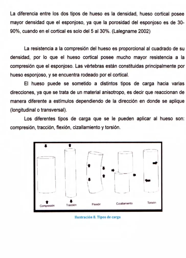 Ilustración 8. Tipos de carga 