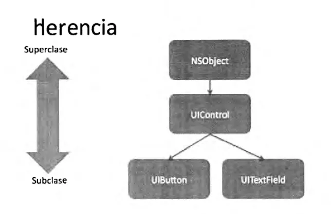 Figura  2 llcrencia principal de "Objective C" 