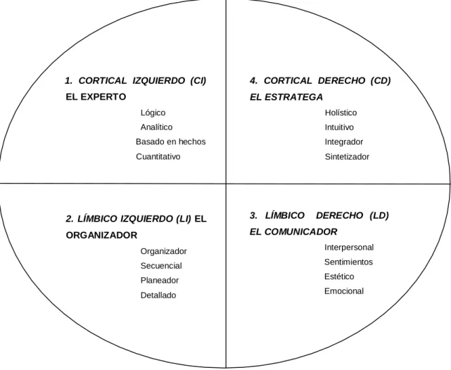 Figura 1.  Cuadrantes Cerebrales de Herrmann. 