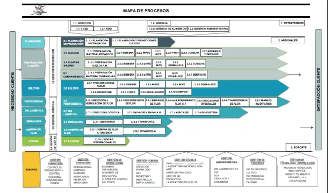 Figura 2. Mapa de procesos Elite Flower S.A. 