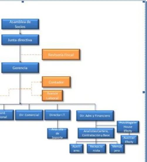 Figura 1. Estructura Organizacional 