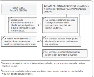Figura 4. Razones Financieras 