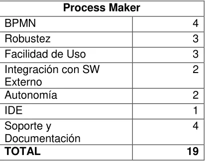 Tabla 4: Valoración de Process Maker 