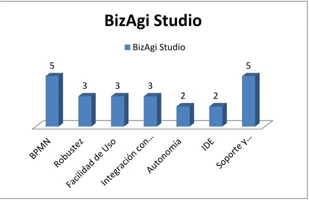 Tabla 5: Valoración de BizAgi Studio 