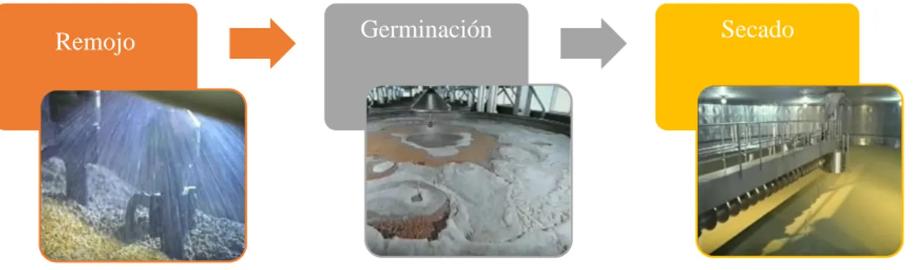 Figura 3. Procesamiento de la cebada. Elaboración propia con base en el video recuperado de  https://www.youtube.com/watch?v=ShuGvCtTMO4 