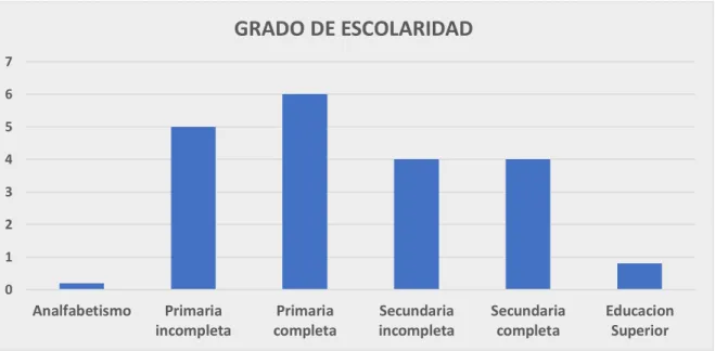 Figura 9. ¿Qué grado de escolaridad tienen? 