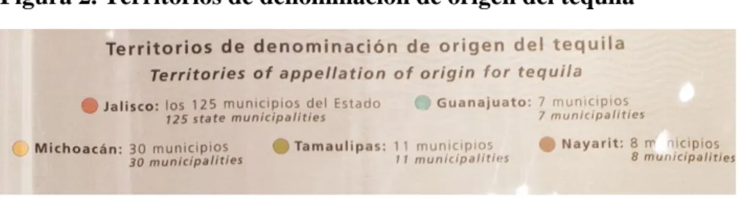Figura 2. Territorios de denominación de origen del tequila  