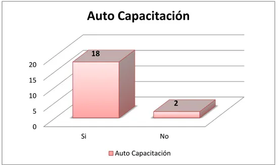 Tabla Nro. 13. Su capacitación pedagógica la realiza en la línea del centro educativo 