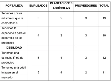 Cuadro Nro. 8: Prioridades 