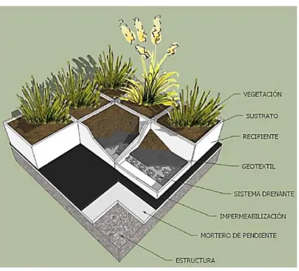 Figura 8. Techo verde receptáculo 