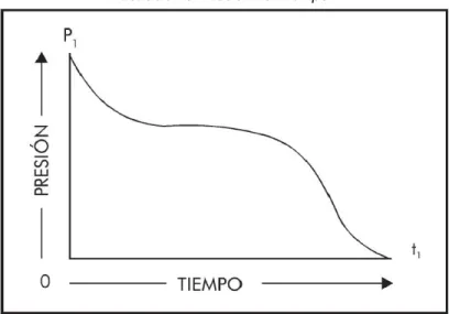 Ilustración 6. Presión vs. Tiempo. 