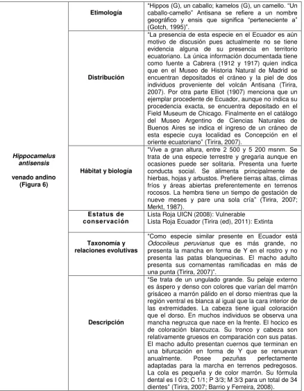 Tabla 5. Descripción del Cérvido Hippocamelus antisensis 