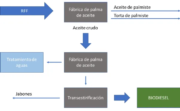 Ilustración 1: Proceso de producción de Biodiesel   Fuente: Adaptado de Ministerio de Minas y Energía (2012)