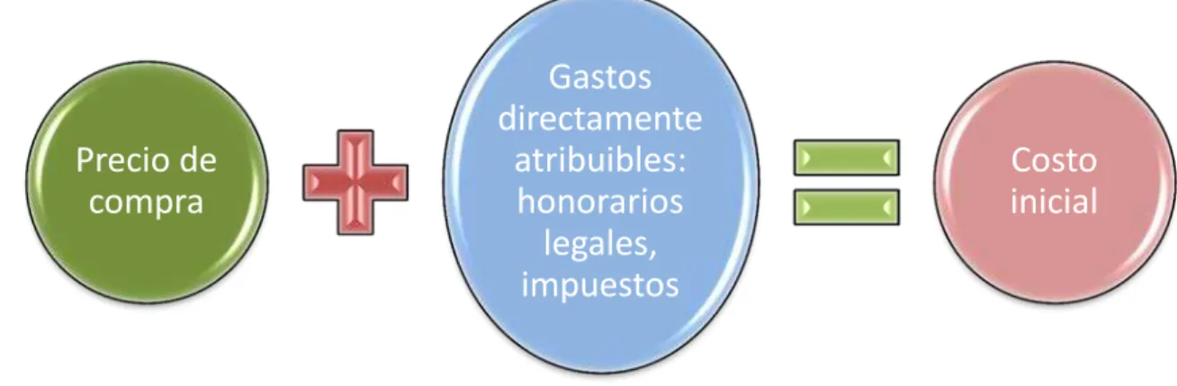 Gráfico 8. Composición del costo en el reconocimiento inicial 