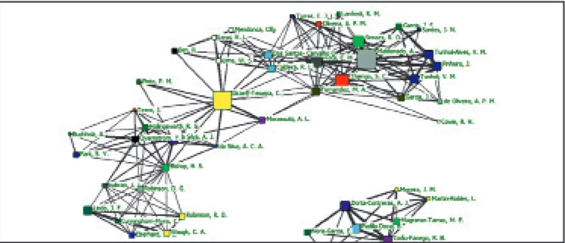 FIG. 7. Colaboración entre autores sobre A. cantonensis según Web of Sciences.