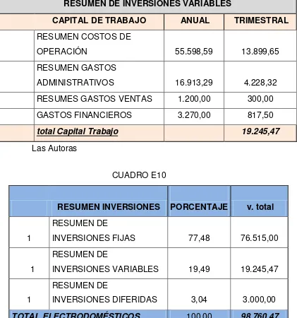 CUADRO E9 RESUMEN DE INVERSIONES VARIABLES 
